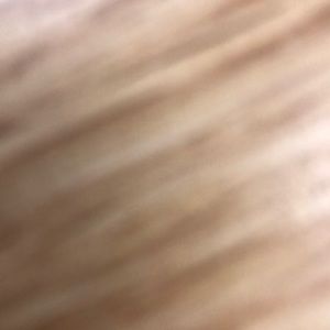 Meet your Posher, Lolo